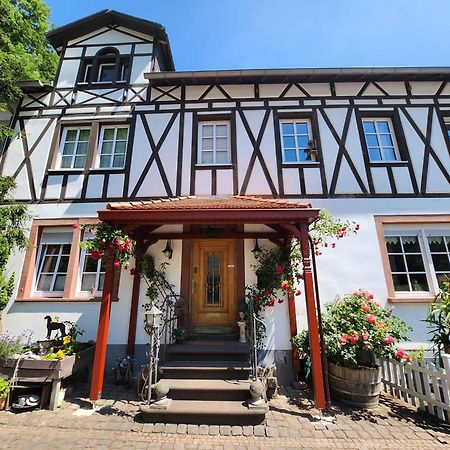 Gaestehaus Beurener Muehle Bad Bertrich Extérieur photo